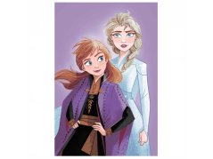 Dětská deka mikroflanel Frozen Purple 05 100x150