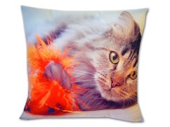 Dětský polštářek 40x40 Kočka s peříčkem