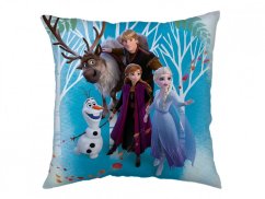 Dětský polštářek 40x40 Frozen 2 Family
