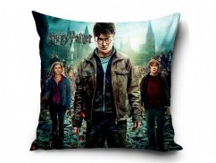 Povlak na polštářek Harry Potter a Čarodějové 40x40