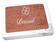 Dárkové balení ručníku se jménem ratanika terakota Čtyřlístek