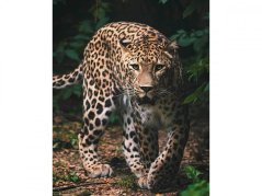 Dětská deka mikroflanel Leopard green 120x150
