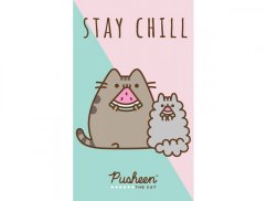 Malý dětský ručník 30x50 Kočička Pusheen Stay Chill