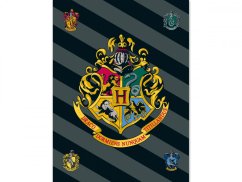 Dětská deka fleecová 100x150 Harry Potter 067 180g
