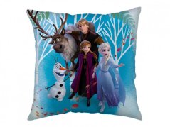 Dětský polštářek 40x40 Frozen 2 Family