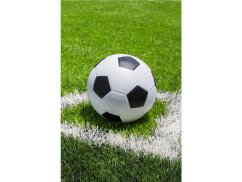 Dětská deka fleecová 100x150 Fotbal 180g