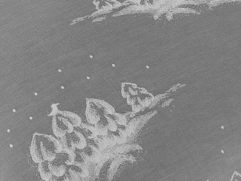 Povlak na polštář 50x70 damašek EXCELLENT GEON Stromky pod sněhem velké tmavě šedé