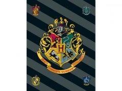 Dětská deka fleecová 100x150 Harry Potter 067 180g