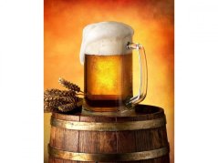 Deka mikroflanel 280g Pivo 120x150