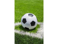Dětská deka fleecová 100x150 Fotbal 180g