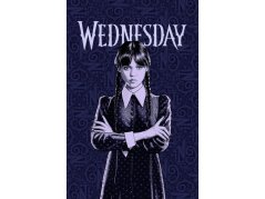 Dětská deka fleecová 100x150 Wednesday 180g