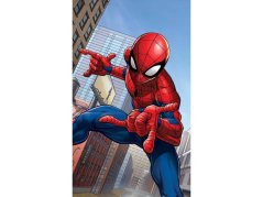 Malý dětský ručník 30x50 Spider-man