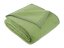 Deka KIRA PLUS 450g Zelená 150x200