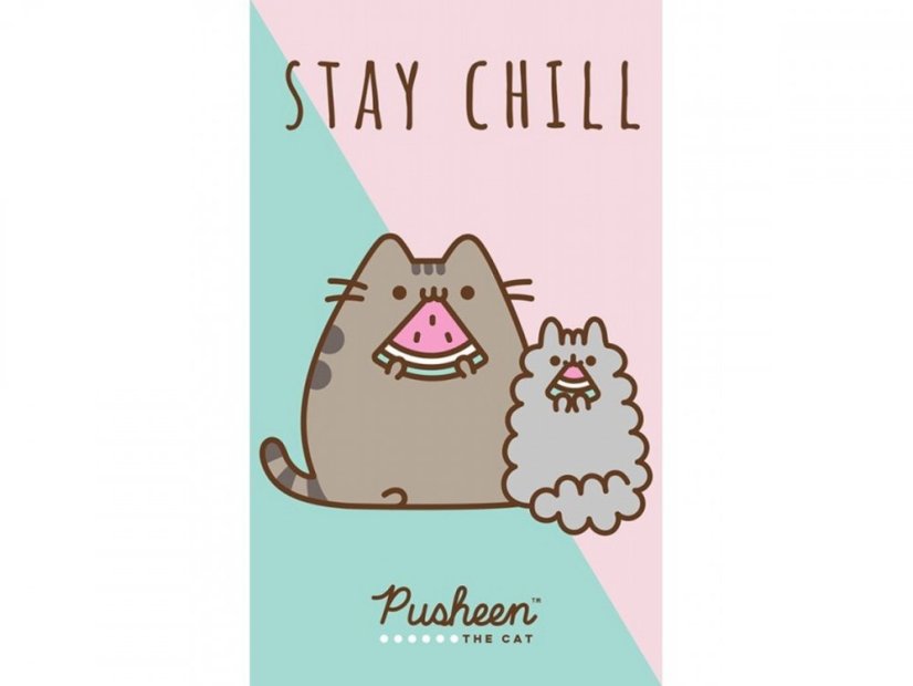 Malý dětský ručník 30x50 Kočička Pusheen Stay Chill