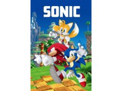 Dětská deka fleecová 100x150 Sonic 023 180g